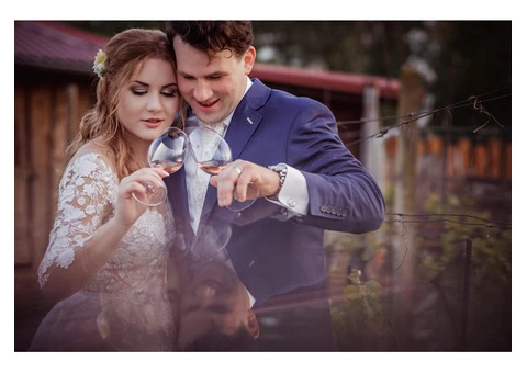 Excusive Bridal Wedding Dresses at d'Italia - 3/5