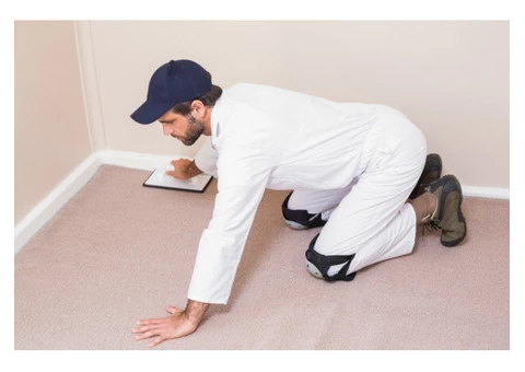 Carpet Stretching Services in Sydney