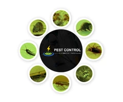 Pest Control Glenmore Park