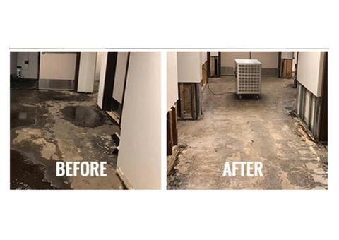 Professional Flood Damage Restoration Cleaning in Canberra