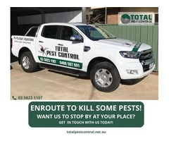 Here Is An Overview On The Different Types Of Pest Control With Total Pest Control Shepparton