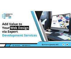 Web Design via Expert Development Services