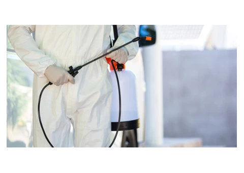Looking for rodent sanitation services?