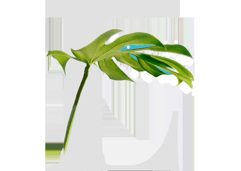 Are You Looking for Garden Design Services and Landscaping construction in Perth ? - 2/3