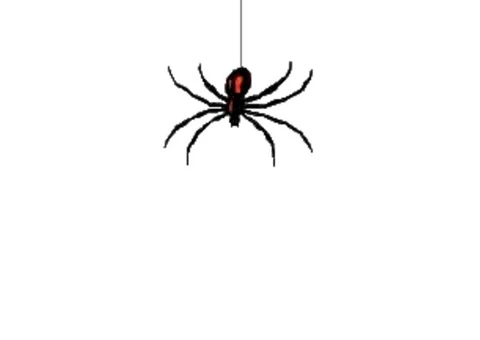 Best Pest Inspection and Termite Control in Penrith - 3/3