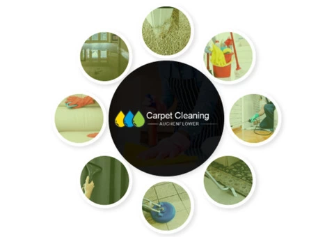 Carpet Cleaning Auchenflower