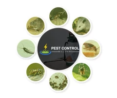 Pest Control Mill Park