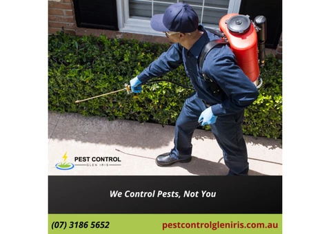 Residential and Commercial Pest Control Services in Glen Iris