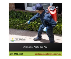 Residential and Commercial Pest Control Services in Glen Iris