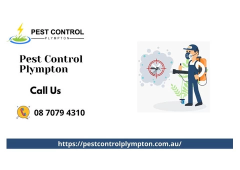 Pest Control Services In Plympton, SA
