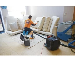 Best Upholstery Cleaning Service Sunshine Coast