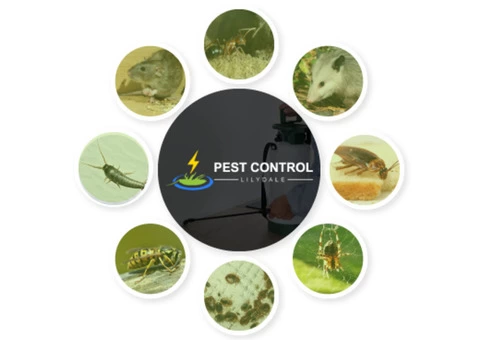 Pest Control Lilydale