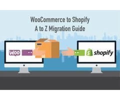 Hire a well-known agency for Shopify website setup services
