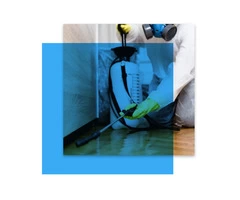 Pest Control Ivanhoe
