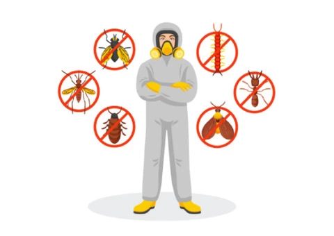 Pest Control Highton