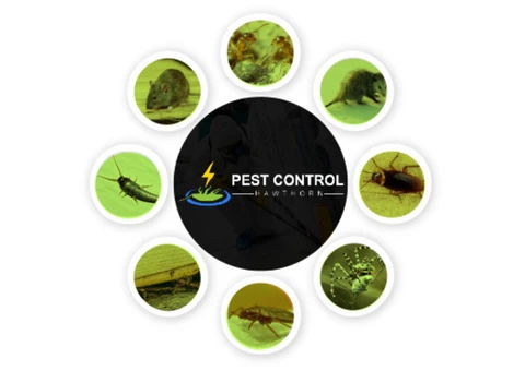Pest Control Hawthorn