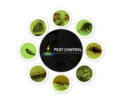 Pest Control Hawthorn