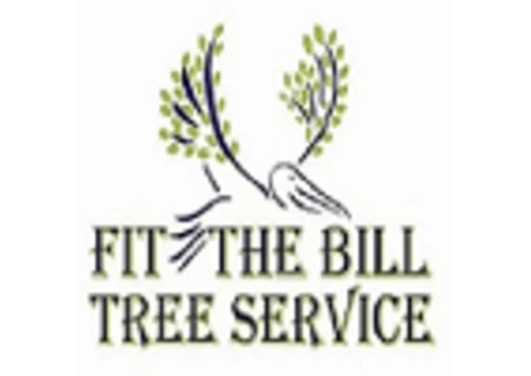 Fit the Bill – North Brisbane Tree Lopping