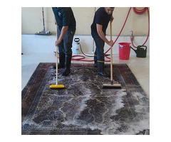 Best Rug Cleaning service perth