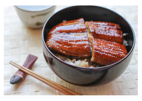 Tasty Japanese Food Get 5% Off @ Ibuki House Restaurant – Melbourne, VIC - 1/5