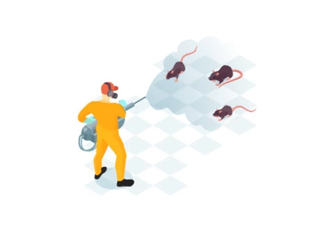 Pest Control Clyde