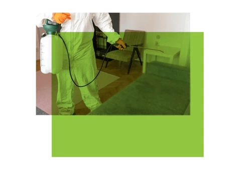 Pest Control Brunswick
