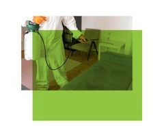 Pest Control Brunswick