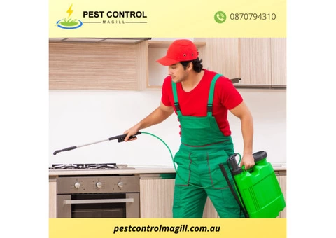 Pest Control Services in Magill
