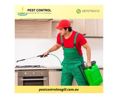 Pest Control Services in Magill