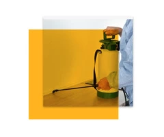 Pest Control Carlton