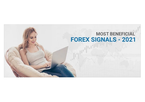 Where is the best place to get forex signals?