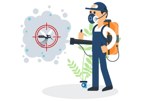 Pest Control Brighton