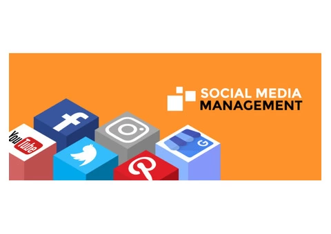 Nothing But Digital - Digital Marketing Agency - 5/5