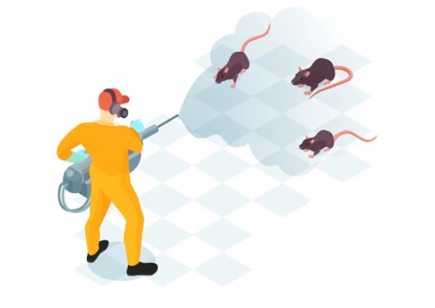 Pest Control Bendigo