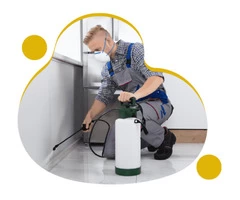 Pest Control Balwyn