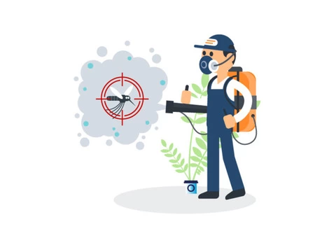 Pest Control Mornington