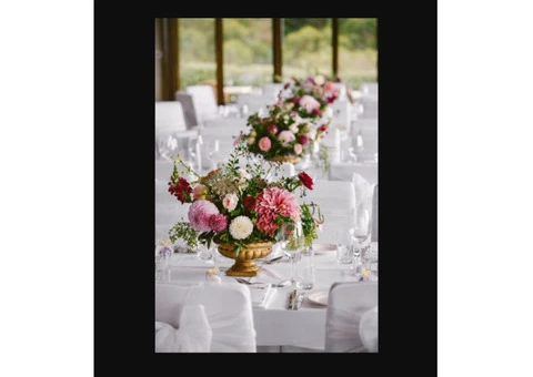 Wedding Photography Packages | 0439 882 506