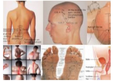 Where can you get a Nuru Oil Massage Melbourne!