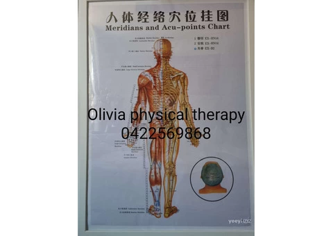 Physiotherapist licensed in Hong Kong and legal in Australia - 1/6