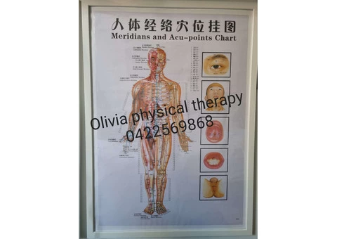 Physiotherapist licensed in Hong Kong and legal in Australia - 6/6