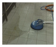 ltmcarpetcleaningsydney