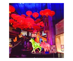 Professional Event Organiser in Melbourne - Solterbeck Events