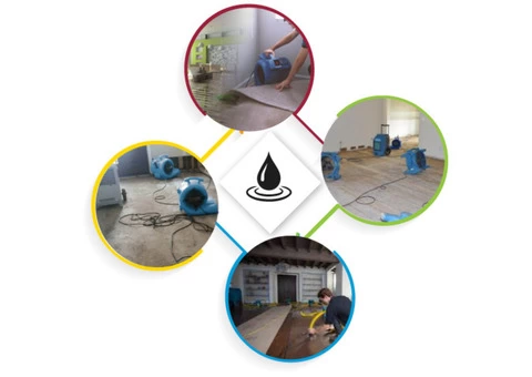 Flood Restoration Point Cook