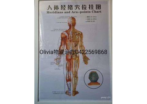 Physiotherapist licensed in Hong Kong and legal in Australia - 1/8