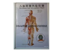 Physiotherapist licensed in Hong Kong and legal in Australia