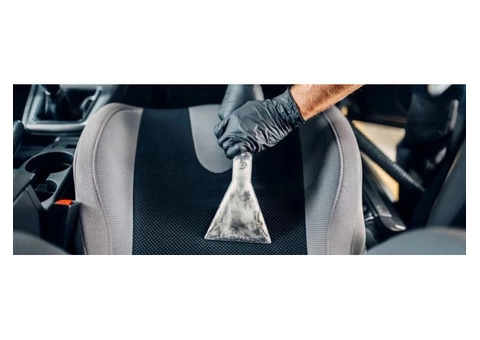 Highly Affordable Carpet Cleaning Services Box Hill | Call Now To Get Amazing Offers! - 2/8