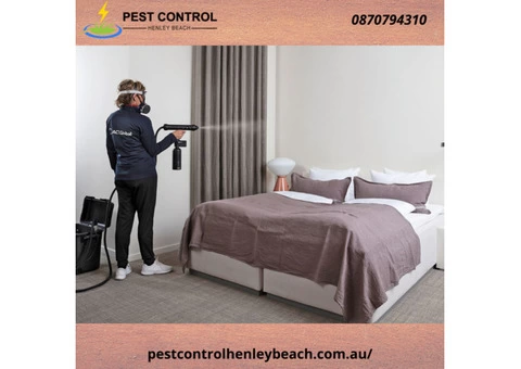 Local Pest Control Services in Henley Beach