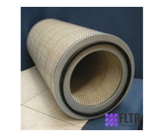 10000513 TWIN DISC Filter Replacement