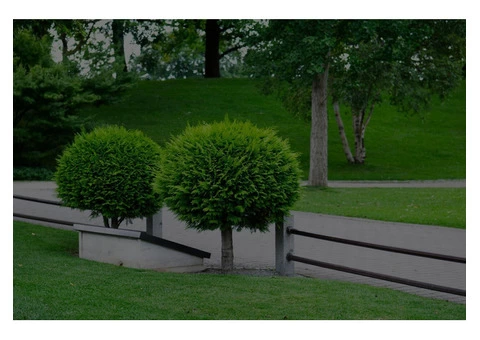 VRL Tree Services - 1/7
