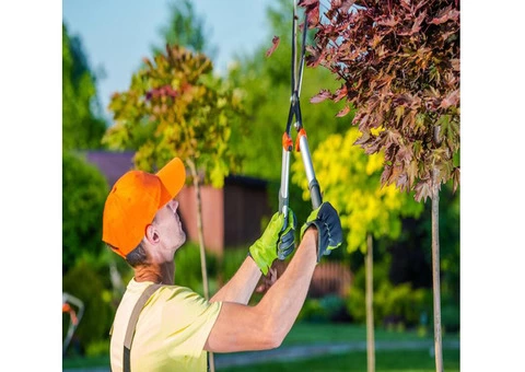 VRL Tree Services - 2/7